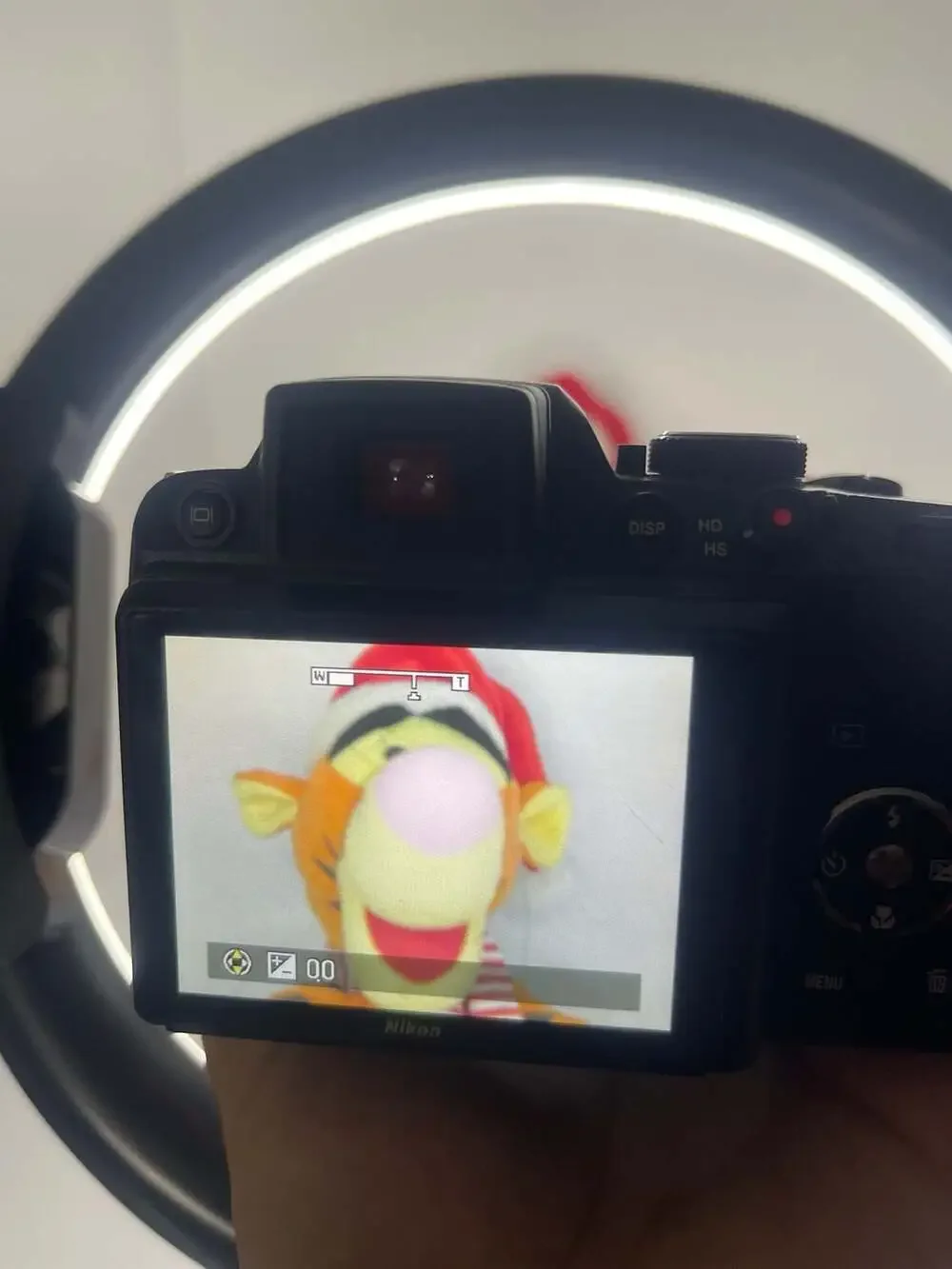 Nikon COOLPIX P100 10.3MP Digital Camera with 26x Optical Zoom